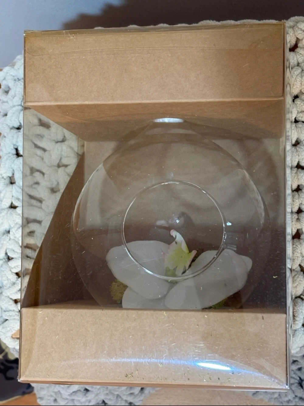 Clear Glass Orb Hanging Terrarium with White Flower Accent